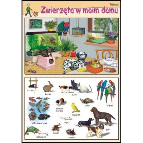 &nbsp;Plansza Zwierzęta w moim domu