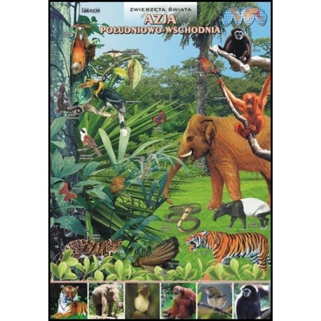 Plansza&nbsp;VISUAL SYSTEM - Azja Środkowa