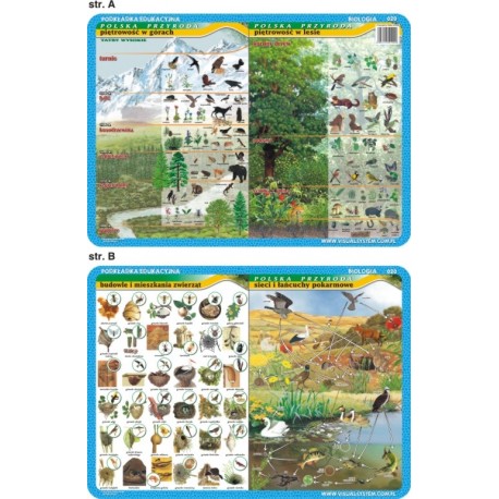 PODKŁADKA EDUKACYJNA 40x30 cm - Biologia 020