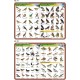 PODKŁADKA EDUKACYJNA 40x30 cm - Biologia 022