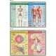 PODKŁADKA EDUKACYJNA 40x30 cm - Anatomia Człowieka/Mikrobiologia 055