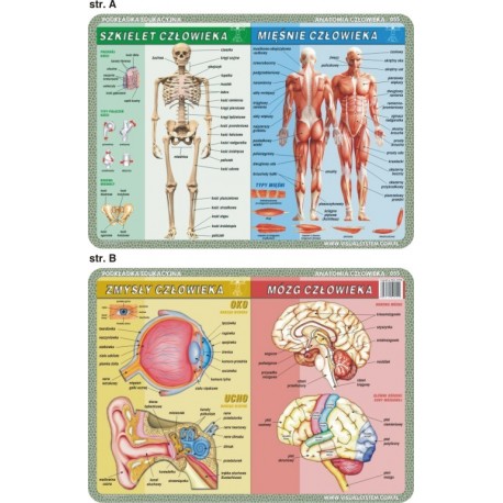 PODKŁADKA EDUKACYJNA 40x30 cm - Anatomia Człowieka/Mikrobiologia 055