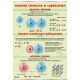 Plansza VISUAL SYSTEM - Wiązania chemiczne
