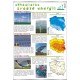 Plansza VISUAL SYSTEM - Odnawialne Źródła energii