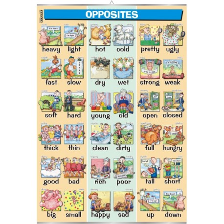 &nbsp;Plansza Opposites