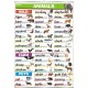Plansza&nbsp;Animals