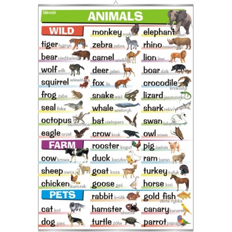 Plansza&nbsp;Animals