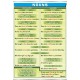 Plansza&nbsp;Nouns