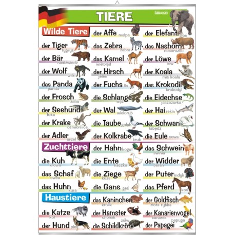 &nbsp;Plansza Tiere