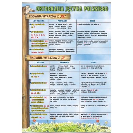 Plansza VISUAL SYSTEM - Pisownia wyrazów z "rz" i "ż"