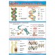 Plansza&nbsp;VISUAL SYSTEM - Budowa i replikacja DNA