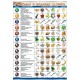 Plansza&nbsp;VISUAL SYSTEM - Witaminy w organizmie człowieka