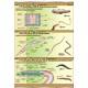 Plansza VISUAL SYSTEM - Płazińce, obleńce, pierścienice - budowa anatomiczna