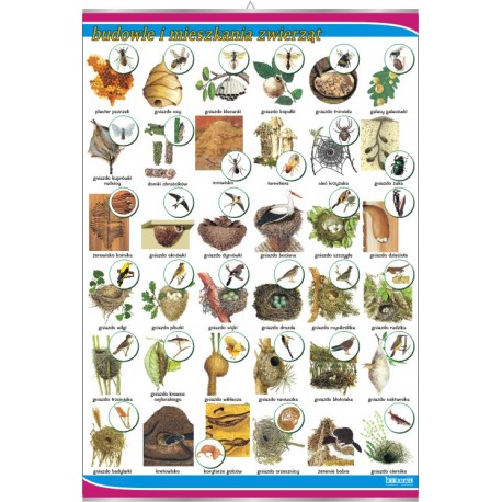 Plansza VISUAL SYSTEM - Budowle i mieszkania zwierząt