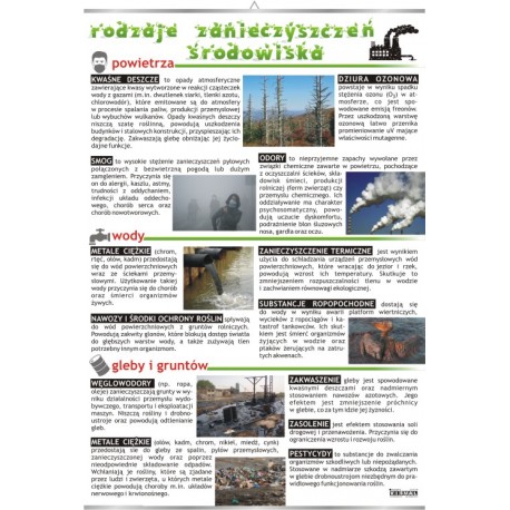 Plansza VISUAL SYSTEM - Rodzaje Zanieczyszczeń Środowiska