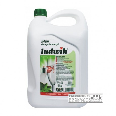 Płyn do naczyń LUDWIK 5kg
