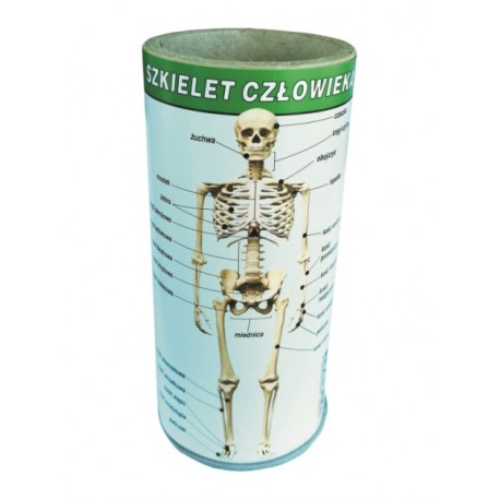 Ekologiczny EduQbek - Anatomia człowieka